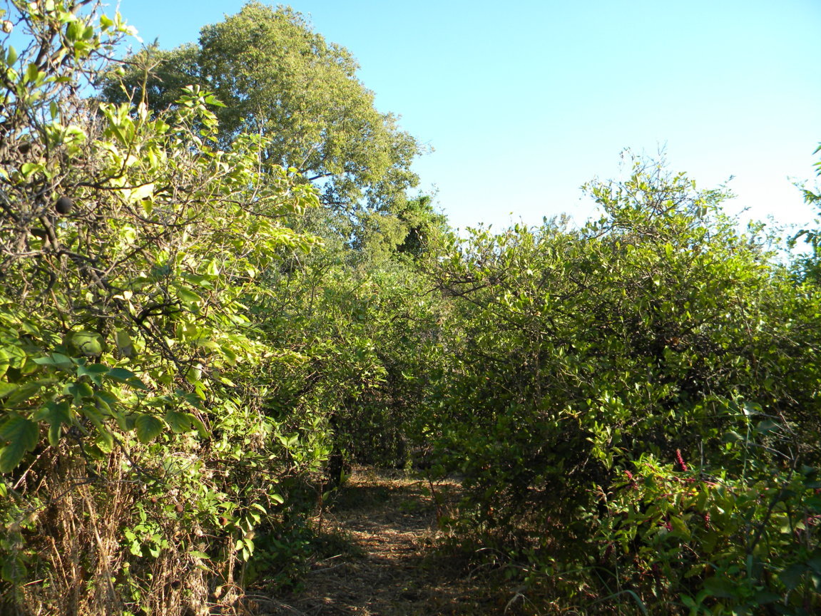 DSCN8076 .JPG